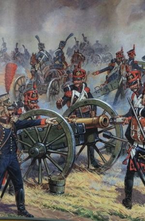 Наполеоника